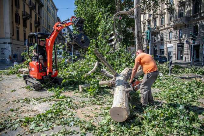 “Non parlate di maltempo: è cambiamento climatico”: l’appello di 100 scienziati italiani a giornalisti e media