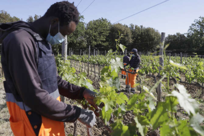 2 milioni e 400mila immigrati producono il 9% del PIL