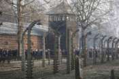Auschwitz Museum, l’orrore si ripete: su X valanga di insulti