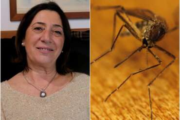 Esterina De Carlo, Direttore sanitario dell’Istituto Zooprofilttico Sperimentale del Mezzogiorno. A destra la zanzara West Nile.