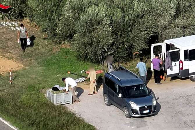 Caporalato in Toscana, rifugiati del Centro accoglienza schiavizzati nei campi per 97 centesimi l’ora: 10 arresti