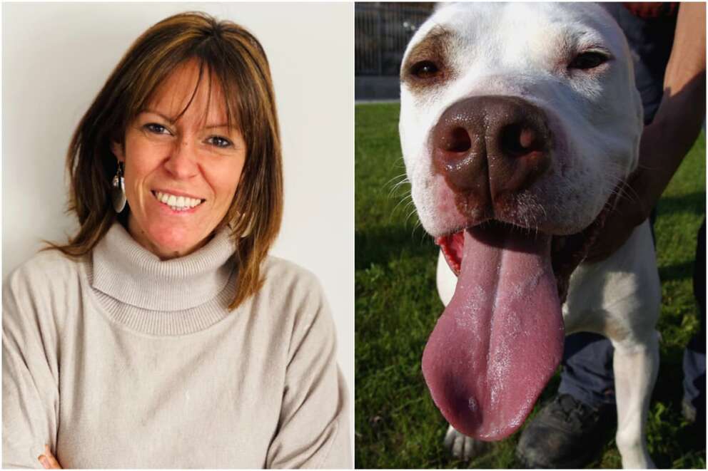 A sinistra Ludovica Pierantoni, medico veterinario comportamentalista. A destra, un cane Pitbull.