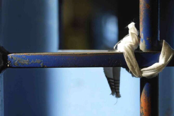 Detenuto suicida nel carcere di Vibo Valentia, la strage di Stato continua: non si ferma il dramma nelle celle