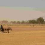 Francesco De Pasquale, della Ong WHH: “Il vero dramma del Mali è la crisi umanitaria”