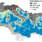 Rifiuti in mare, nel Mediterraneo scie di spazzatura lunghe chilometri