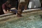 A man and a baby cool off at Trevi fountain as temperatures are reaching up to 39 degrees Celsius (102.20 Fahrenheit) in Rome, Monday, July 29, 2024. (AP Photo/Gregorio Borgia) Associated Press/LaPresse