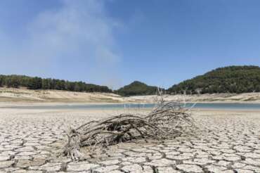 I problemi di siccità in Sicilia nell’estate 2024